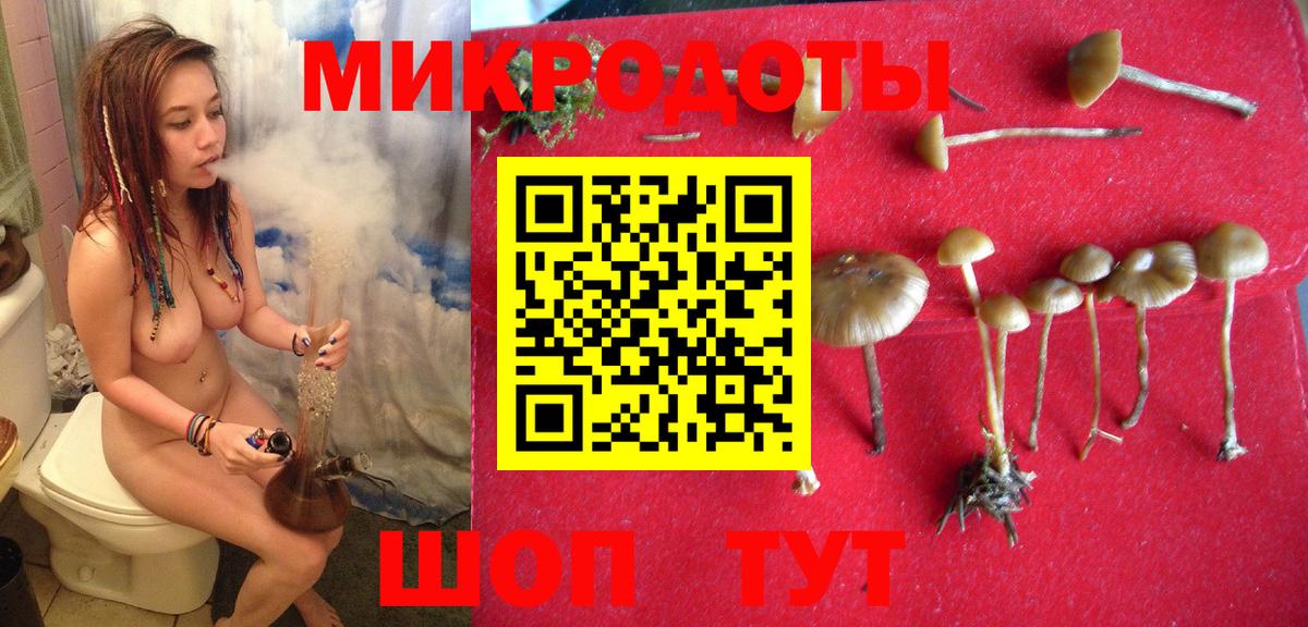 закладка  Псилоцибиновые грибы GOLDEN TEACHER  Вход с VPN  Псилоцибиновые грибы GOLDEN TEACHER  Киржач 